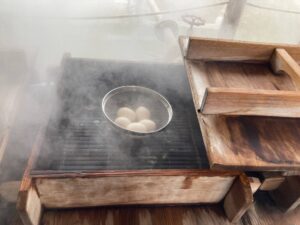 北海道 道の駅 しかべ間歇泉公園 温泉蒸し卵